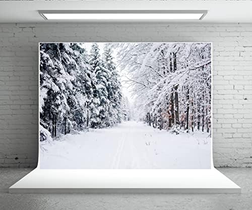 20 על 10 רגל חורף יער שביל רקע כבד שלג לחץ סניפים שלג מכוסה באנר תמונה רקע